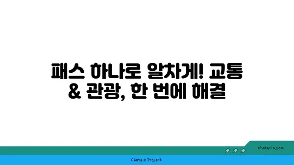 "패스" 활용, 나만의 꿀팁 대방출! | 성공적인 여행, 쉽고 빠르게 준비하기