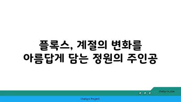 플록스 꽃의 매력에 빠지다| 종류별 특징과 관리법 | 정원, 꽃, 식물, 원예, 가드닝