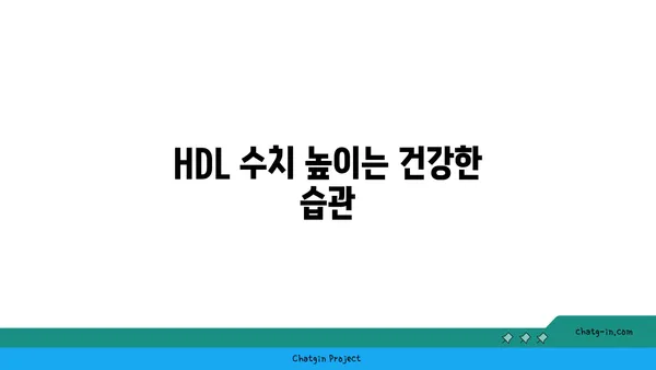 고밀도 지단백질(HDL)| 좋은 콜레스테롤, 건강하게 높이는 방법 | 콜레스테롤 관리, 심혈관 건강, 건강 정보