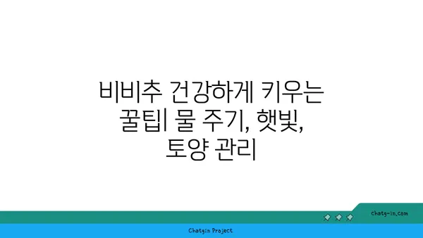 비비추 키우기 완벽 가이드 | 꽃말, 종류, 번식, 관리법, 병해충