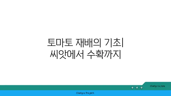 토마토의 놀라운 변신| 고대 과일에서 현대적 정원 필수품까지 | 토마토 역사, 토마토 재배, 토마토 종류