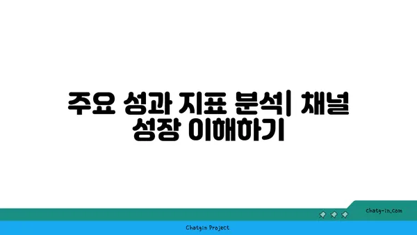 YouTube 채널 분석 활용 가이드| 성과 추적 & 전략 개선 | 데이터 기반 성장 전략, 성과 지표, 분석 도구