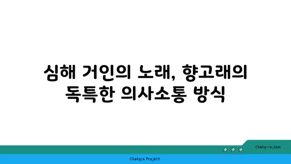 향고래| 신비로운 심해 거인의 생태와 보호 | 고래, 해양 생물, 멸종 위기