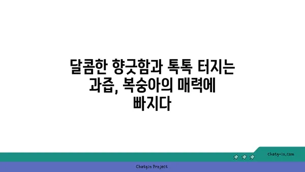 복숭아의 매력적인 향긋함| 맛과 영양을 모두 잡는 과일 | 복숭아, 향긋한 과일, 영양 정보, 건강 효능