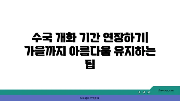 수국 개화 기간 연장하기| 가을까지 아름다움 유지하는 팁 | 수국, 개화, 가을, 관리, 팁