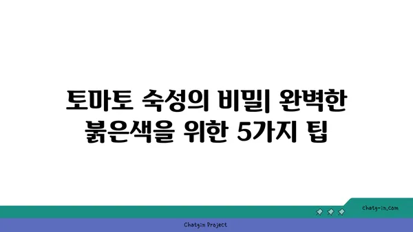 토마토 숙성| 완벽한 붉은색과 달콤한 맛을 위한 5가지 팁 | 토마토 숙성, 맛있게 익히는 방법, 토마토 빨리 익히기