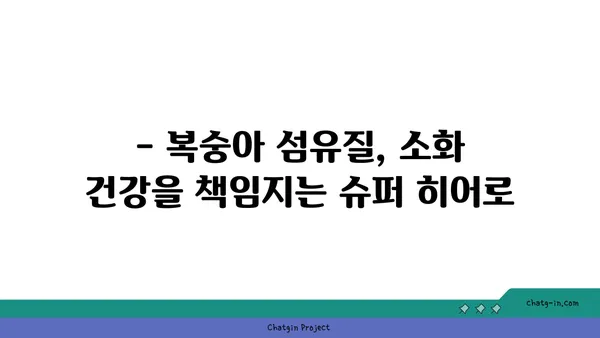 복숭아의 섬유질 파워| 장 건강과 포만감을 위한 달콤한 선택 | 복숭아 효능, 섬유질, 건강 식단