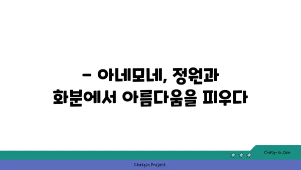 아네모네 꽃말과 전설| 아름다움과 슬픔의 상징 | 꽃말, 전설, 의미, 품종, 재배