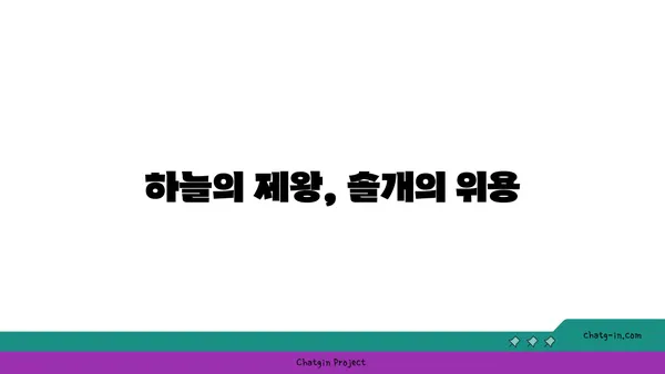 솔개의 비상| 하늘을 지배하는 맹금류의 생존 전략 | 솔개, 맹금류, 생태, 먹이사슬, 비행