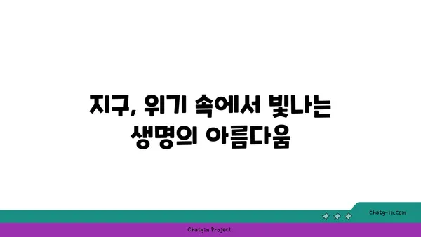 지구| 우리 푸른 별의 매력 | 아름다움, 신비, 그리고 위기