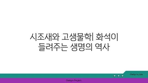 시조새| 진화의 증거를 찾다 | 공룡, 조류, 화석, 진화론, 고생물학