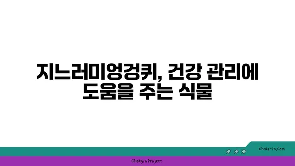 지느러미엉겅퀴| 효능과 부작용, 그리고 활용법 | 약초, 건강, 민간요법