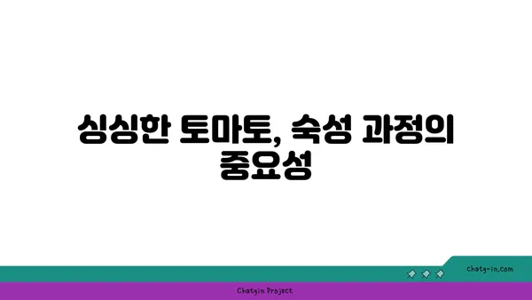 토마토 숙성| 완벽한 붉은색과 달콤한 맛을 위한 5가지 팁 | 토마토 숙성, 맛있게 익히는 방법, 토마토 빨리 익히기