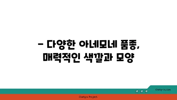 아네모네 꽃말과 전설| 아름다움과 슬픔의 상징 | 꽃말, 전설, 의미, 품종, 재배