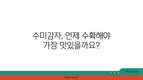 수미감자 수확의 정점| 최적의 시기와 기법 마스터하기 | 수미감자, 감자 수확, 농사, 재배, 팁