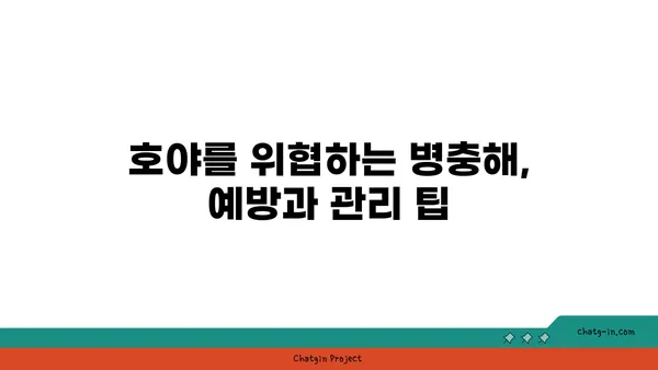 호야 키우기 완벽 가이드 | 호야 종류, 물주기, 햇빛, 번식, 병충해