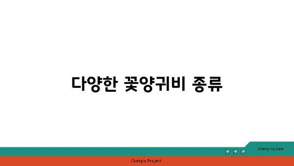 꽃양귀비의 매력에 빠지다| 아름다움과 의미, 재배 가이드 | 꽃양귀비, 꽃말, 재배 방법, 종류, 사진