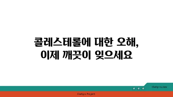 콜레스테롤 신화 깨뜨리기| 당신이 알아야 할 5가지 진실 | 콜레스테롤, 건강, 오해