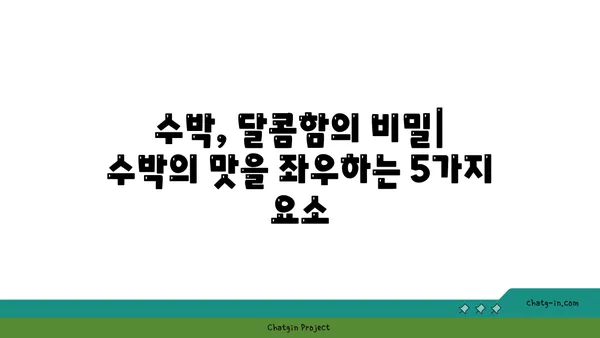 수박의 맛있는 비밀| 달콤함을 맛보는 5가지 방법 | 수박 고르는 팁, 수박 맛있게 먹는 법, 수박 효능