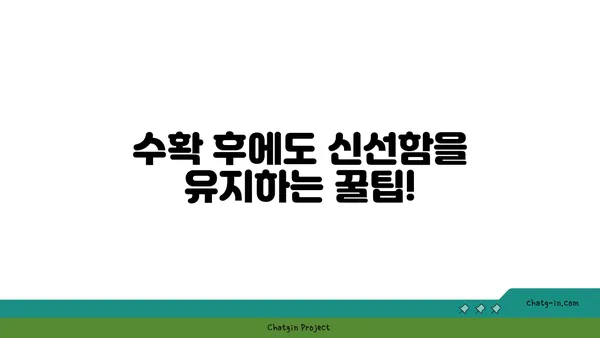 수미감자 수확의 정점| 최적의 시기와 기법 마스터하기 | 수미감자, 감자 수확, 농사, 재배, 팁