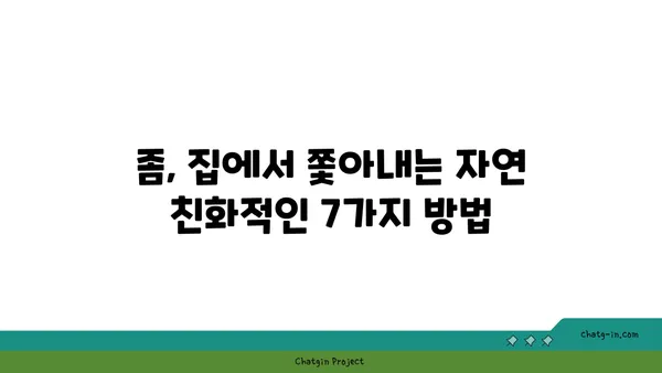 좀의 공격으로부터 집을 지키는 자연 친화적인 7가지 방법 | 천연 퇴치법, 좀 퇴치, 친환경 솔루션