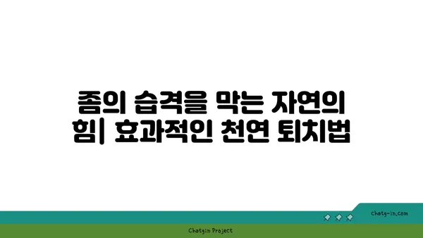 좀의 공격으로부터 집을 지키는 자연 친화적인 7가지 방법 | 천연 퇴치법, 좀 퇴치, 친환경 솔루션