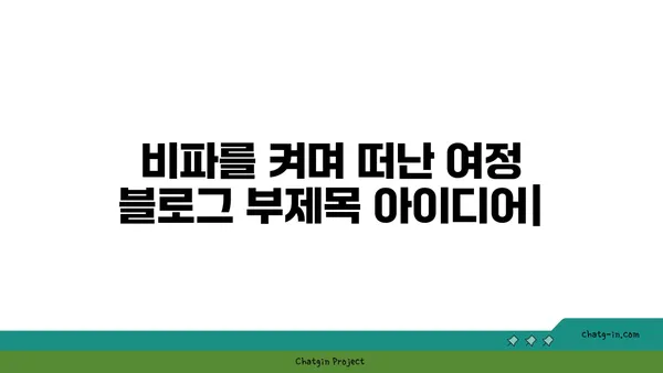 비파를 켜며 떠난 여정| 음악가의 아름다운 이야기 | 비파, 여행, 음악, 감동 이야기