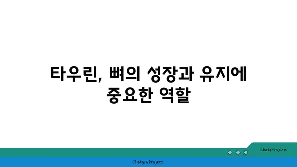 타우린의 놀라운 효능| 골 건강을 위한 잠재적 이점 | 건강, 영양, 뼈 건강, 타우린 효능