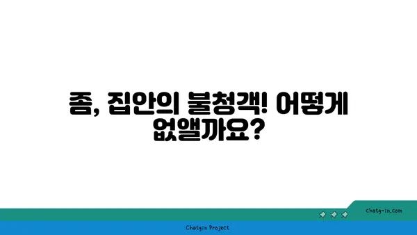 좀 퇴치| 집안의 거침없는 침입자를 없애는 완벽 가이드 | 좀, 퇴치, 벌레, 해충, 방제