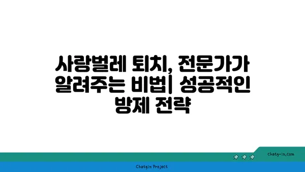 사랑벌레 극복하기| 5가지 효과적인 방법 | 사랑벌레, 벌레퇴치, 천연 해충 방제