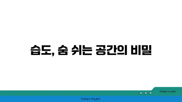 쾌적함을 위한 습도의 비밀| 40~60%, 당신의 공간을 최적화하는 상대습도 | 습도 조절, 쾌적 환경, 건강 관리, 실내 환경