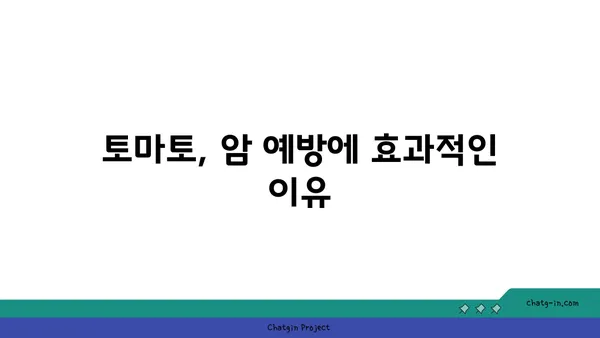 토마토의 놀라운 암 예방 효과| 과학적 근거와 섭취 방법 | 건강, 항암 식품, 토마토 효능