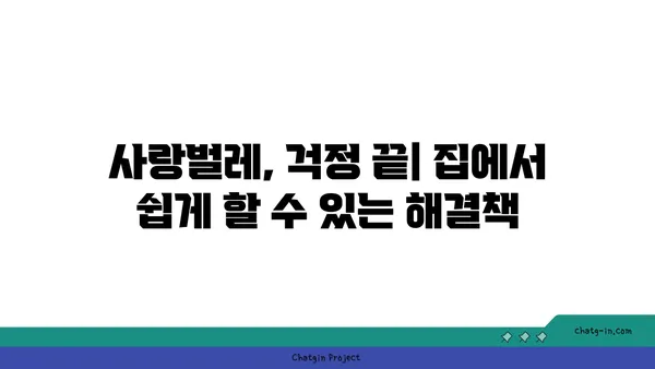 사랑벌레 극복하기| 5가지 효과적인 방법 | 사랑벌레, 벌레퇴치, 천연 해충 방제