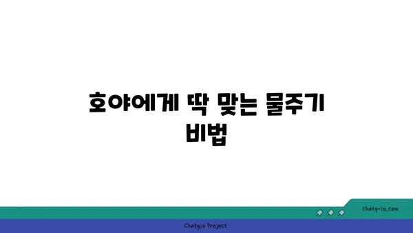 호야 키우기 완벽 가이드 | 호야 종류, 물주기, 햇빛, 번식, 병충해