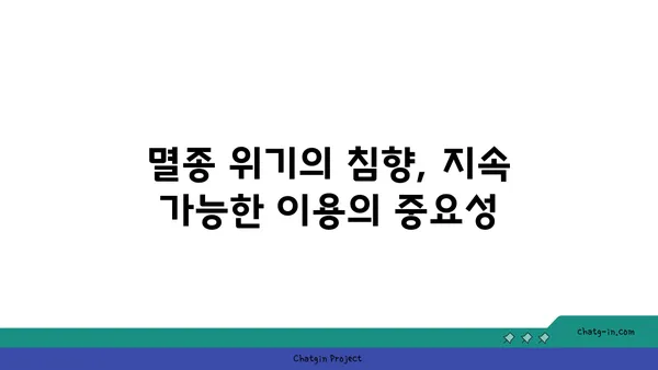 침향 산업의 윤리적 과제| 지속 가능한 성장과 공정 거래를 위한 길 | 지속가능성, 공정무역, 침향, 산업, 윤리