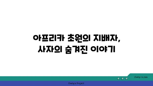 사자의 비밀| 아프리카 초원의 지배자를 파헤쳐 보세요 | 사자, 아프리카, 야생 동물, 동물 다큐멘터리