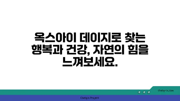 옥스아이 데이지의 놀라운 효능| 건강과 행복을 위한 자연 요법 | 천연 치료, 허브, 면역력 강화