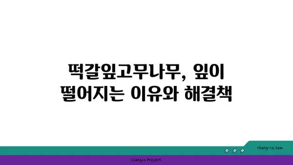 떡갈잎고무나무 키우기 완벽 가이드 | 잎꽂이, 물꽂이, 병충해, 분갈이, 겨울나기