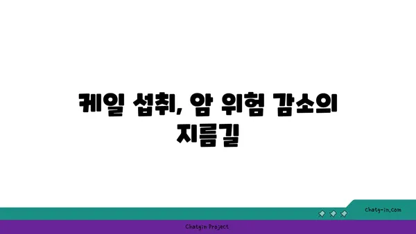 케일의 힘! 암과 만성 질환 위험 줄이는 7가지 방법 | 케일 효능, 건강 식단, 암 예방, 만성 질환 관리