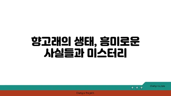 향고래| 신비로운 심해 거인의 생태와 보호 | 고래, 해양 생물, 멸종 위기