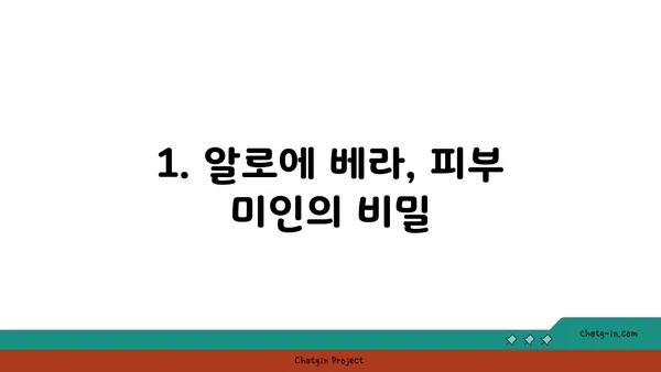 알로에의 놀라운 효능| 피부, 건강, 미용까지! | 알로에 효능, 알로에 베라, 알로에 사용법