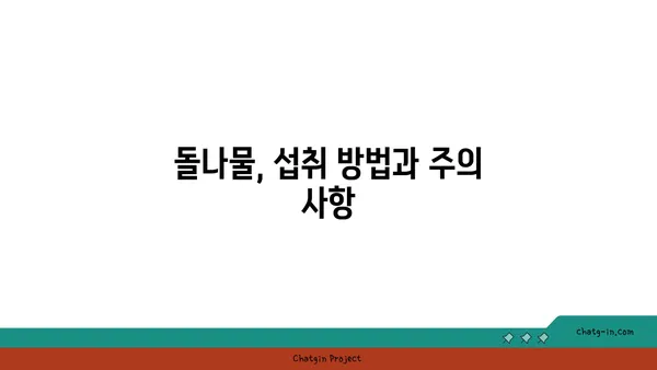 돌나물 효능 제대로 알고 건강 챙기세요! | 돌나물, 효능, 건강, 레시피, 섭취 방법