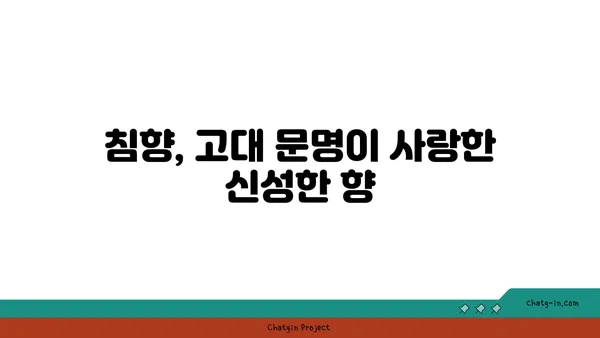 침향, 시간을 넘어선 향기의 매력| 고대 향료의 역사와 문화적 의미 | 침향, 향료, 고대, 역사, 문화, 아로마테라피