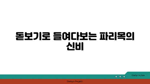 파리목 매력에 빠지다| 종류별 특징과 관찰 가이드 | 파리목, 곤충, 생태, 관찰 팁