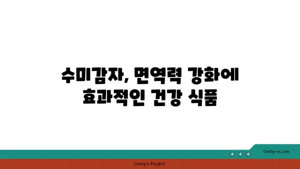 수미감자 면역력 강화 효과| 섭취 방법과 함께 알아보는 7가지 장점 | 수미감자, 면역력, 건강 식품, 섭취법, 효능