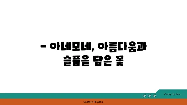 아네모네 꽃말과 전설| 아름다움과 슬픔의 상징 | 꽃말, 전설, 의미, 품종, 재배