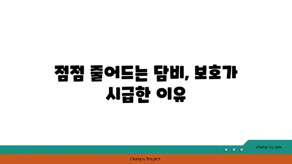 담비, 알고 보니 이렇게 매력적이었어? | 담비, 생태, 특징, 서식지, 보호