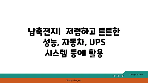 축전지 종류별 특징과 용도 비교 가이드 | 전기 자동차, 에너지 저장, 배터리