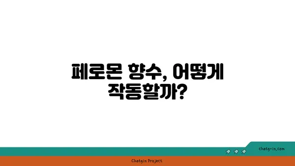 페로몬 향수, 정말 효과 있을까? | 사랑, 매력, 과학적 분석