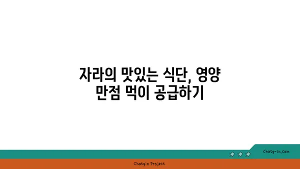 자라류 키우기 완벽 가이드 | 수조 환경, 먹이, 질병 관리, 번식 팁